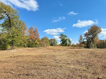 Land for sale in Marlboro County, South Carolina