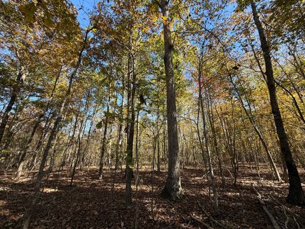 Land for sale in Blount County, Alabama