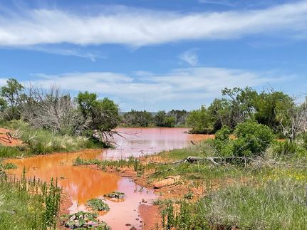 Recreational Property for sale in Taylor County, Texas