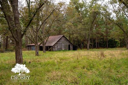 Farm and Ranch for sale in Bamberg County, South Carolina