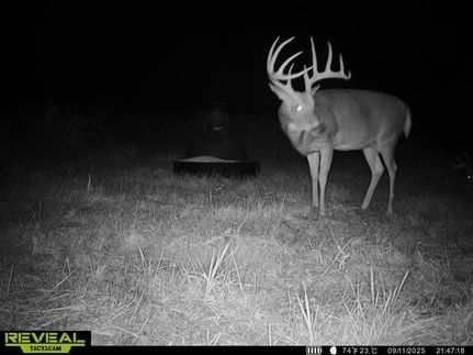 Land for sale in Osage County, Kansas