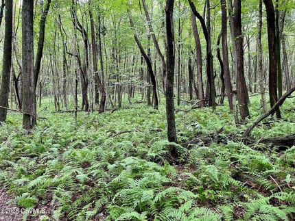 Land for sale in Columbia County, Pennsylvania