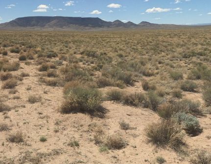 Undeveloped Land for sale in Costilla County, Colorado