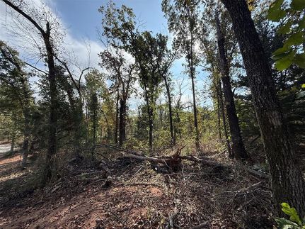 Undeveloped Land for sale in Cleveland County, Oklahoma