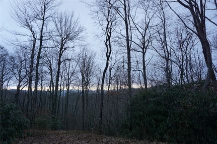 Farm and Ranch for sale in Jackson County, North Carolina