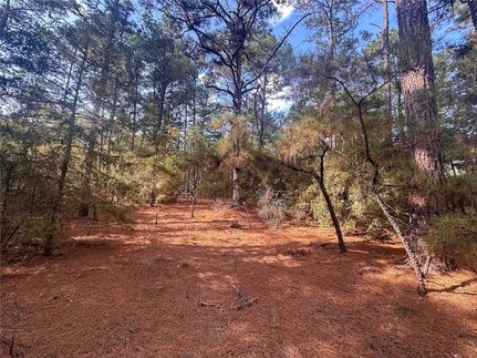 Land for sale in Bastrop County, Texas