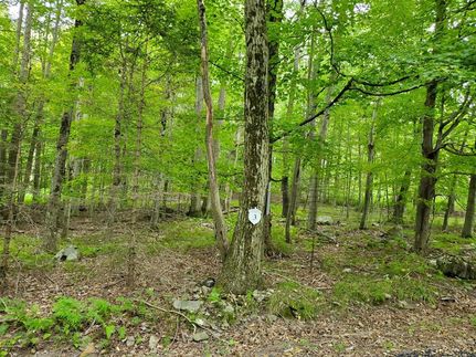 Land for sale in Monroe County, Pennsylvania