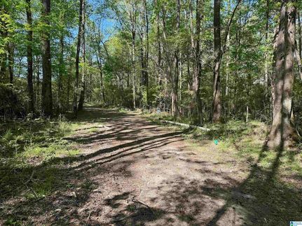 Land for sale in Saint Clair County, Alabama