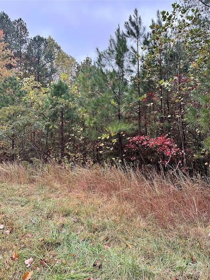 Land for sale in Iredell County, North Carolina