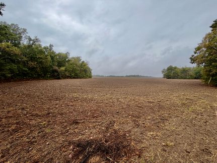 Land for sale in Tunica County, Mississippi