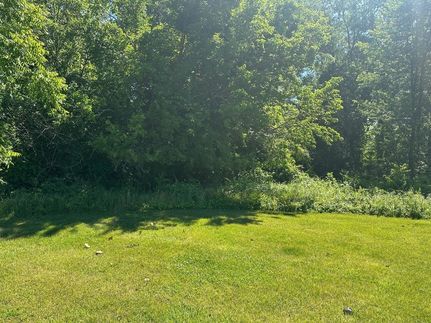Undeveloped Land for sale in Berrien County, Michigan