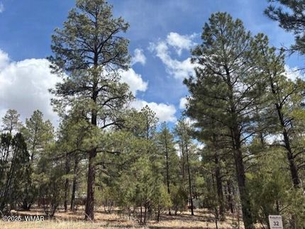 Land for sale in Navajo County, Arizona