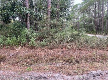 Land for sale in Wakulla County, Florida
