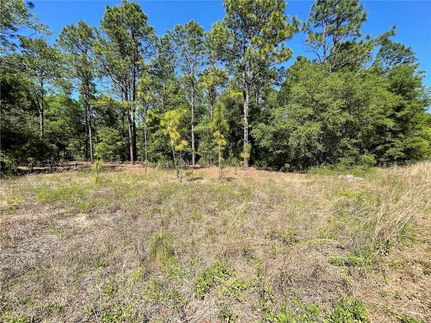 Land for sale in Marion County, Florida
