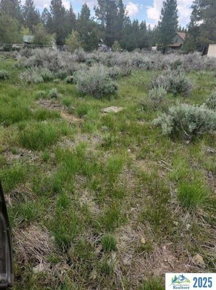Land for sale in Lassen County, California