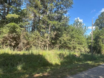 Land for sale in Jefferson Davis County, Mississippi