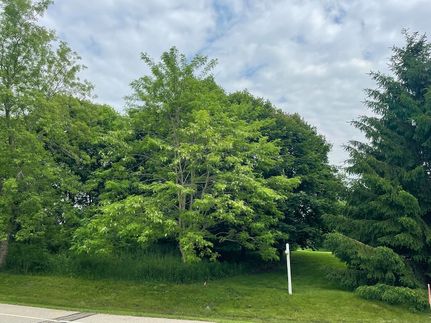 Homesite for sale in Ozaukee County, Wisconsin