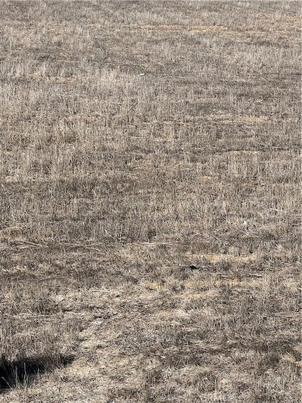 Land for sale in San Bernardino County, California