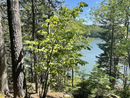 Undeveloped Land for sale in Lincoln County, Maine