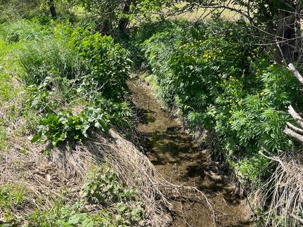 Land for sale in Saunders County, Nebraska