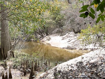 Land for sale in Baldwin County, Alabama