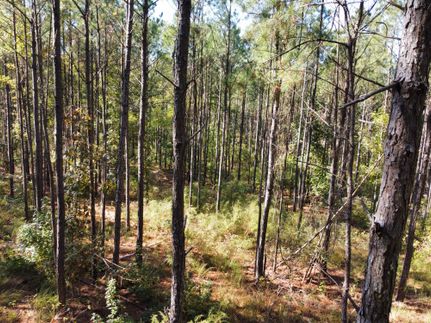 Land for sale in Marion County, Texas