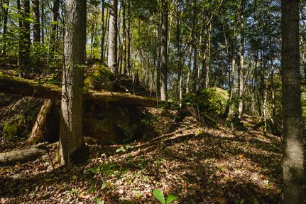 Timberland Property for sale in Gallia County, Ohio