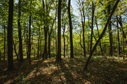 Land for sale in Gallia County, Ohio