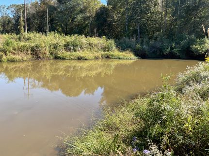 Land for sale in Pike County, Alabama