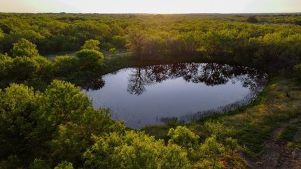 Land for sale in Young County, Texas