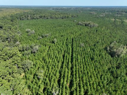 Farm and Ranch for sale in Camden County, Georgia