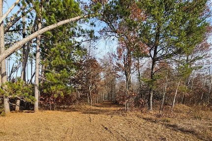 Land for sale in Burnett County, Wisconsin