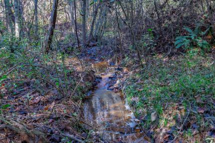 Hunting Property for sale in Stephens County, Georgia