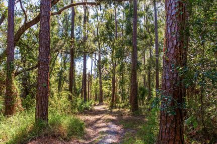 Undeveloped Land for sale in Hillsborough County, Florida