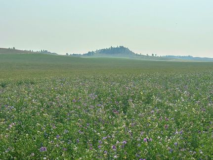 Land for sale in Petroleum County, Montana