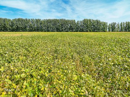 Farm and Ranch for sale in Pembina County, North Dakota