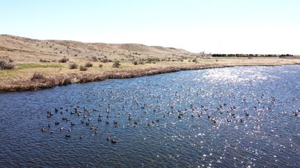 Farm and Ranch for sale in Logan County, Colorado