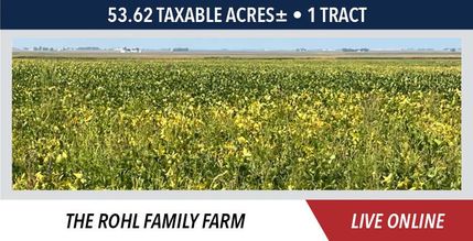 Land for sale in Vermilion County, Illinois