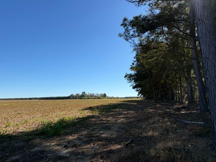 Farm and Ranch for sale in Williamsburg County, South Carolina
