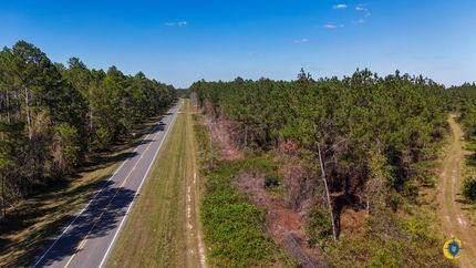 Land for sale in Bacon County, Georgia