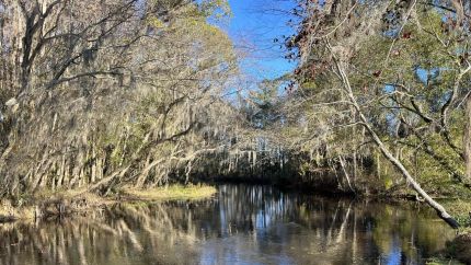 Hunting Property for sale in Robeson County, North Carolina