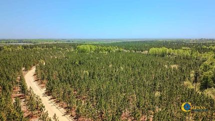 Undeveloped Land for sale in Kershaw County, South Carolina