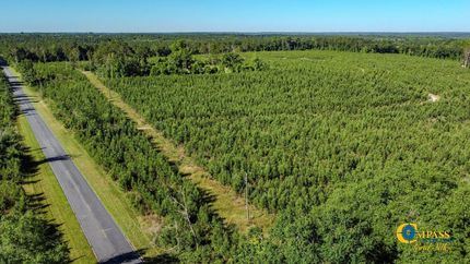 Land for sale in Macon County, Georgia