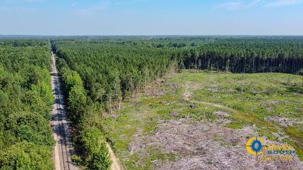 Land for sale in Drew County, Arkansas