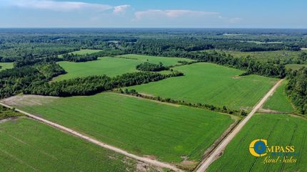 Undeveloped Land for sale in Florence County, South Carolina