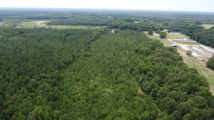 Undeveloped Land for sale in Cleveland County, Arkansas