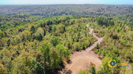 Undeveloped Land for sale in Stewart County, Tennessee