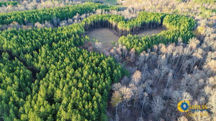 Timberland Property for sale in Perry County, Tennessee