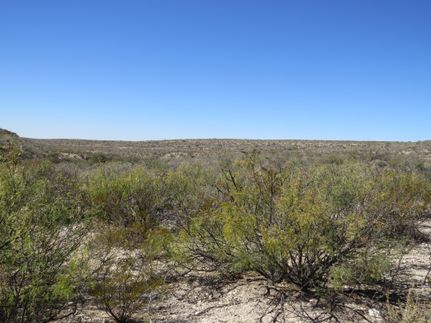 Recreational Property for sale in Terrell County, Texas