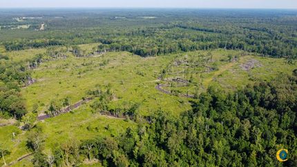 Hunting Property for sale in Bradley County, Arkansas